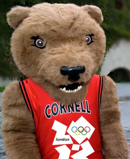 Cornell University - Touchdown the Big Red Bear image