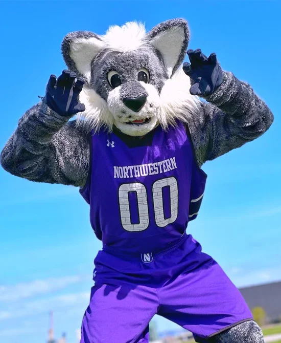 Northwestern University – Bild von Willie, der Wildkatze