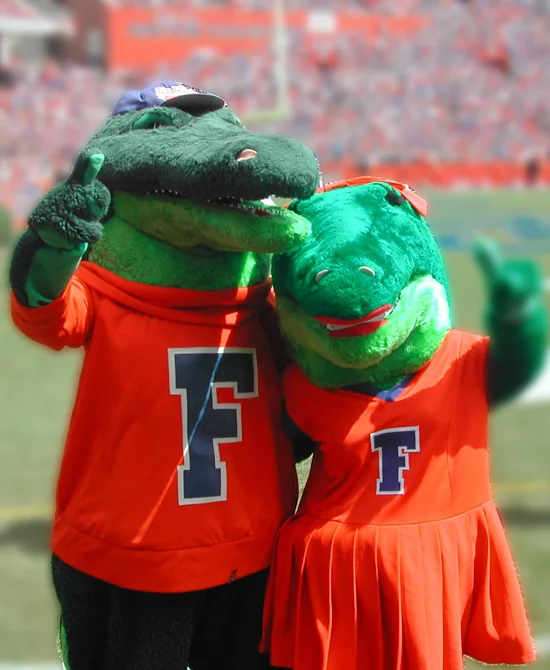 University of Florida – Bild von Albert und Alberta the Alligators
