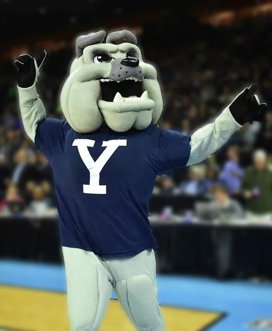 Universidad de Yale - El guapo Dan imagen